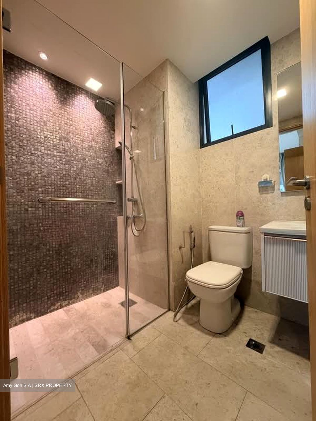 La Fiesta (D19), Condominium #566752651